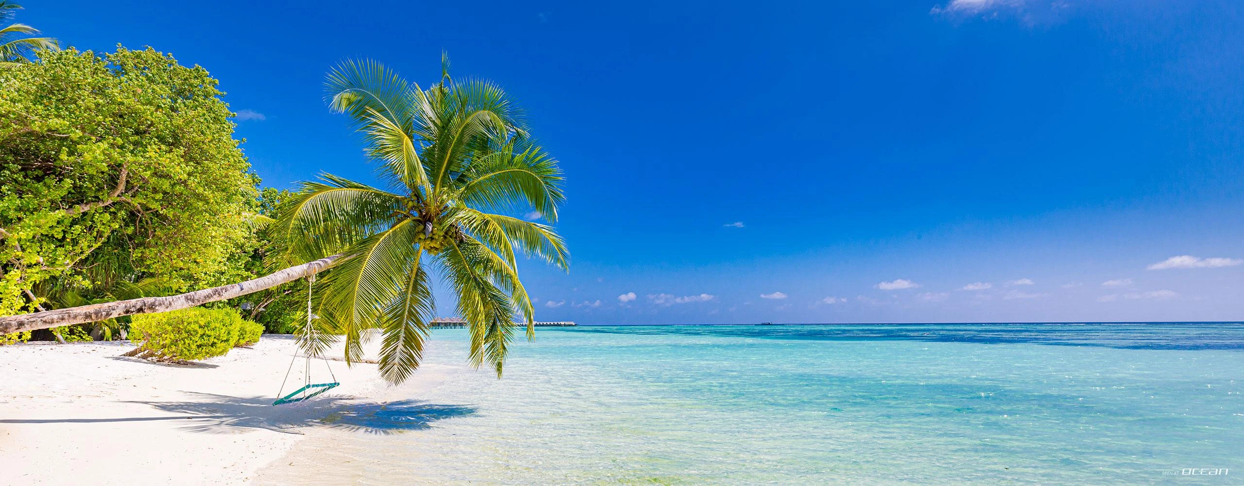 Sailing Yachts Charter in Bahamas & Caribbean | Luxury Yachts Charter